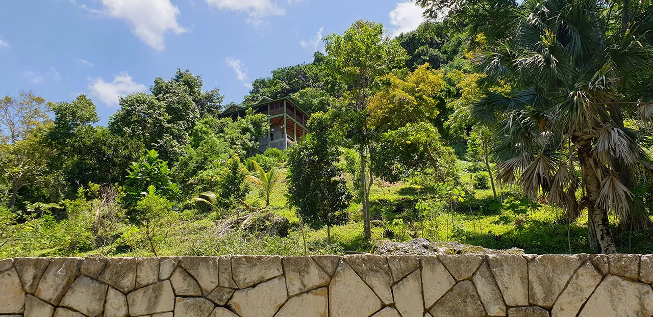 A green timber house high on a wooded hillside under a blue sky, above a stone wall